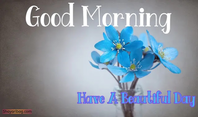 Good Morning Images Good Morning Images
