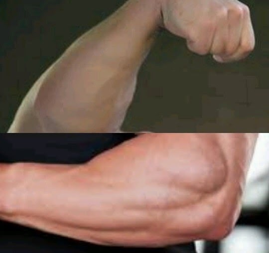 मजबूत फोर आर्म पाने के लिए घर पर करें ये 6 एक्सरसाइज Forearm Workouts At Home In Hindi Life