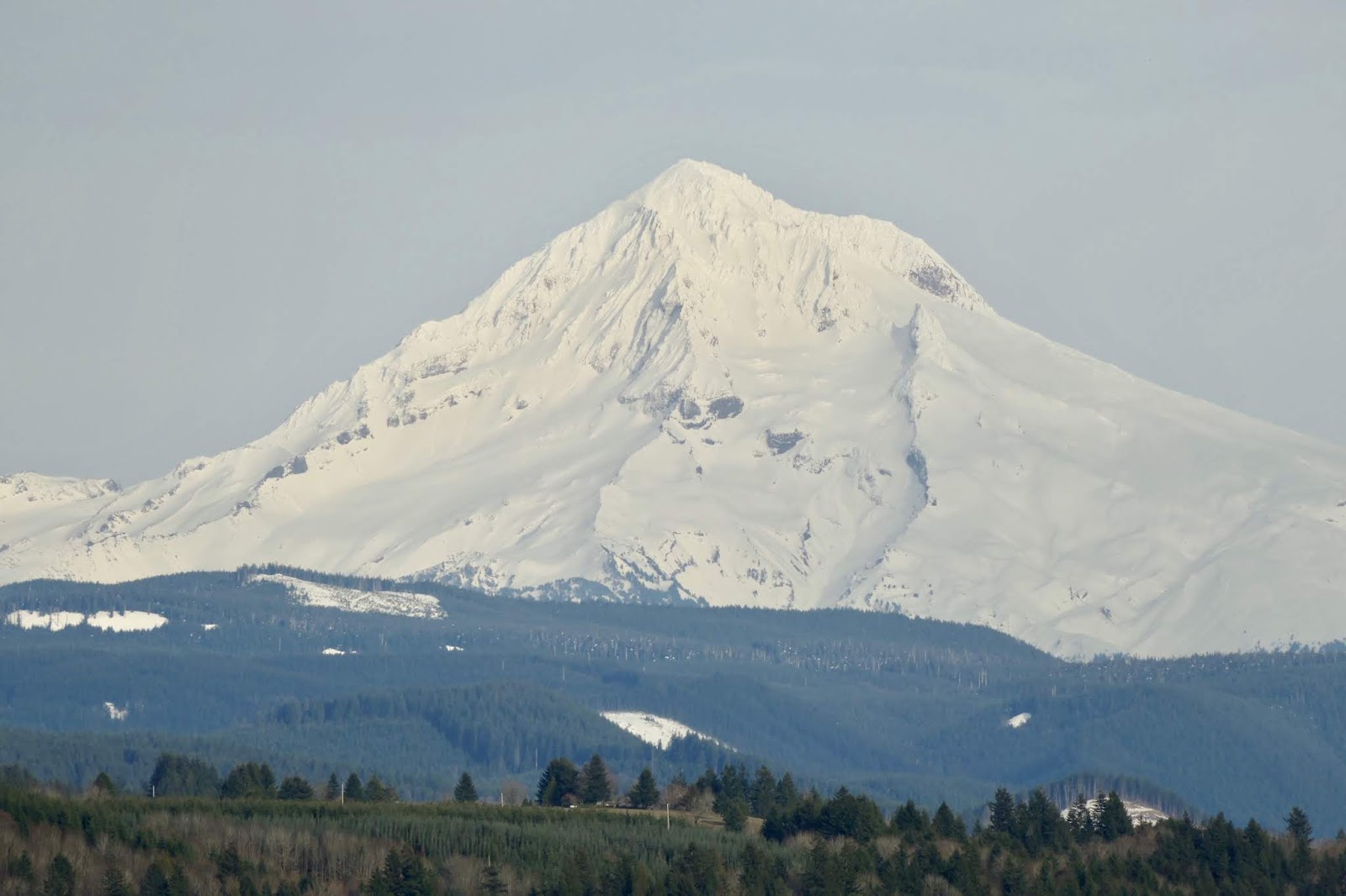 Teresa Kasner Snow Covered Mt. Hood