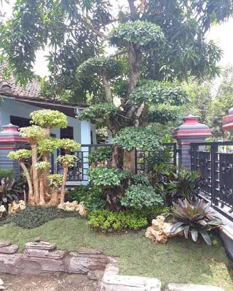 Desain Taman Rumah Yang Minimalis Dan Kece - Dunia Sipil