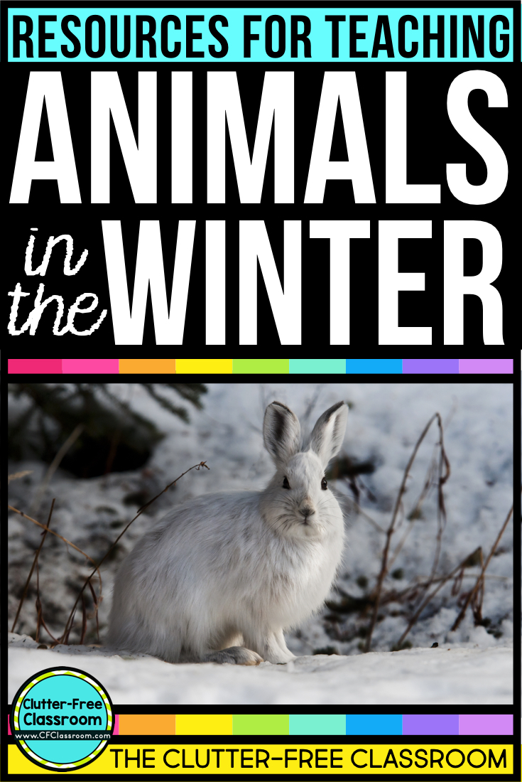 ANIMALS IN WINTER ACTIVITIES, BOOK IDEAS, and PRINTABLES for KIDS