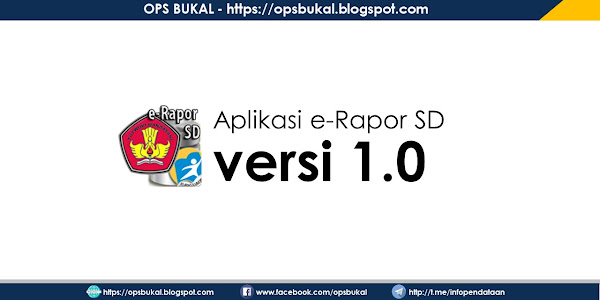 Download Aplikasi e-Rapor SD versi 1.0