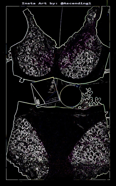 Custom Art featuring Elila Full Figure Bra and Panty Set displayed with Senteurs d'Orient Soap