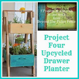 5 projects in a week project 4 upcycled drawer planter http://bec4-beyondthepicketfence.blogspot.com/2014/05/5-projects-in-week-project-4-upcycled.html