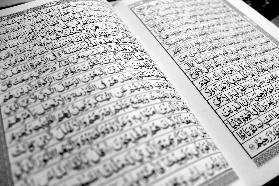 Penjelasan Hukum Idgham Syafawi Yatlunahu