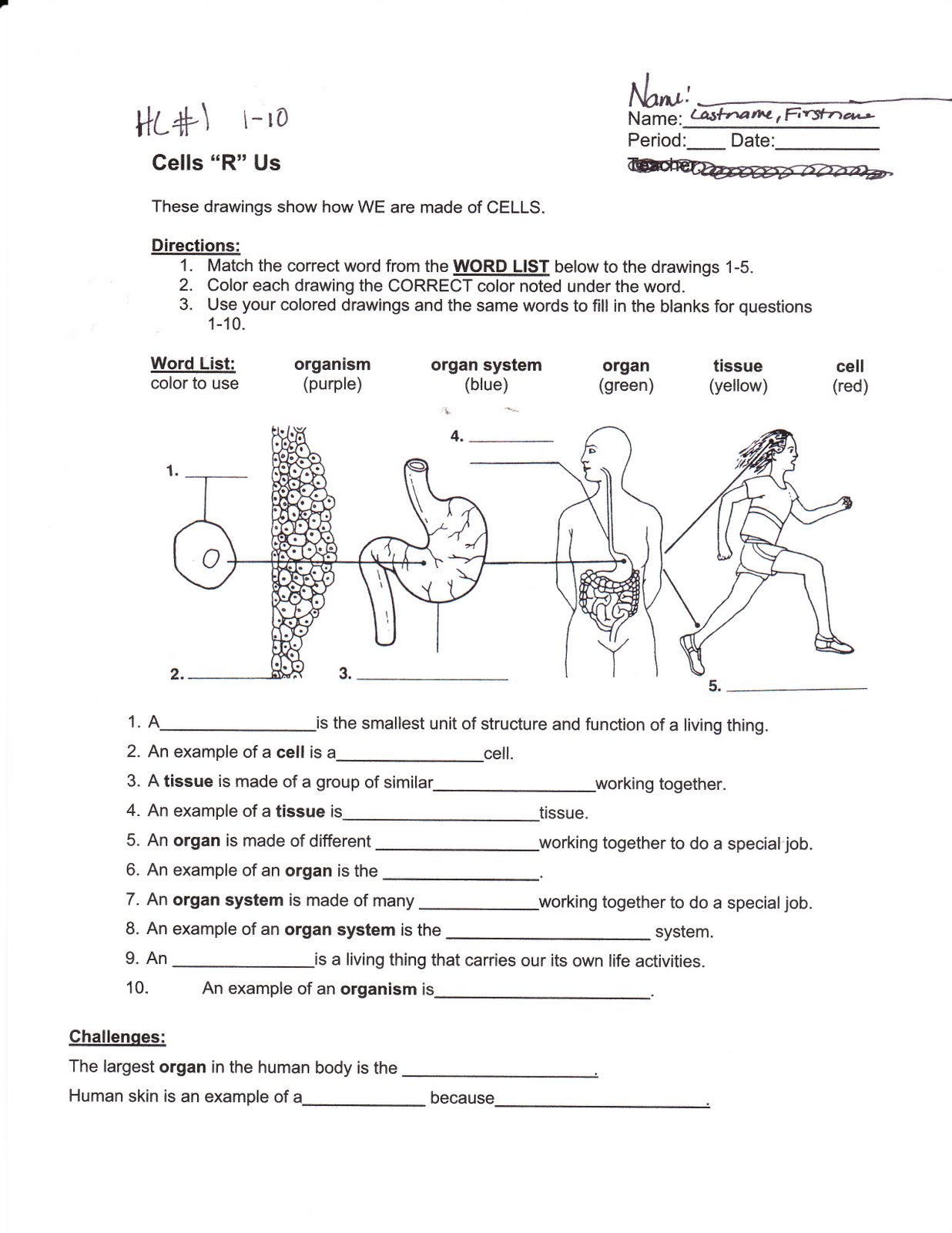 science-for-6th-graders-worksheets