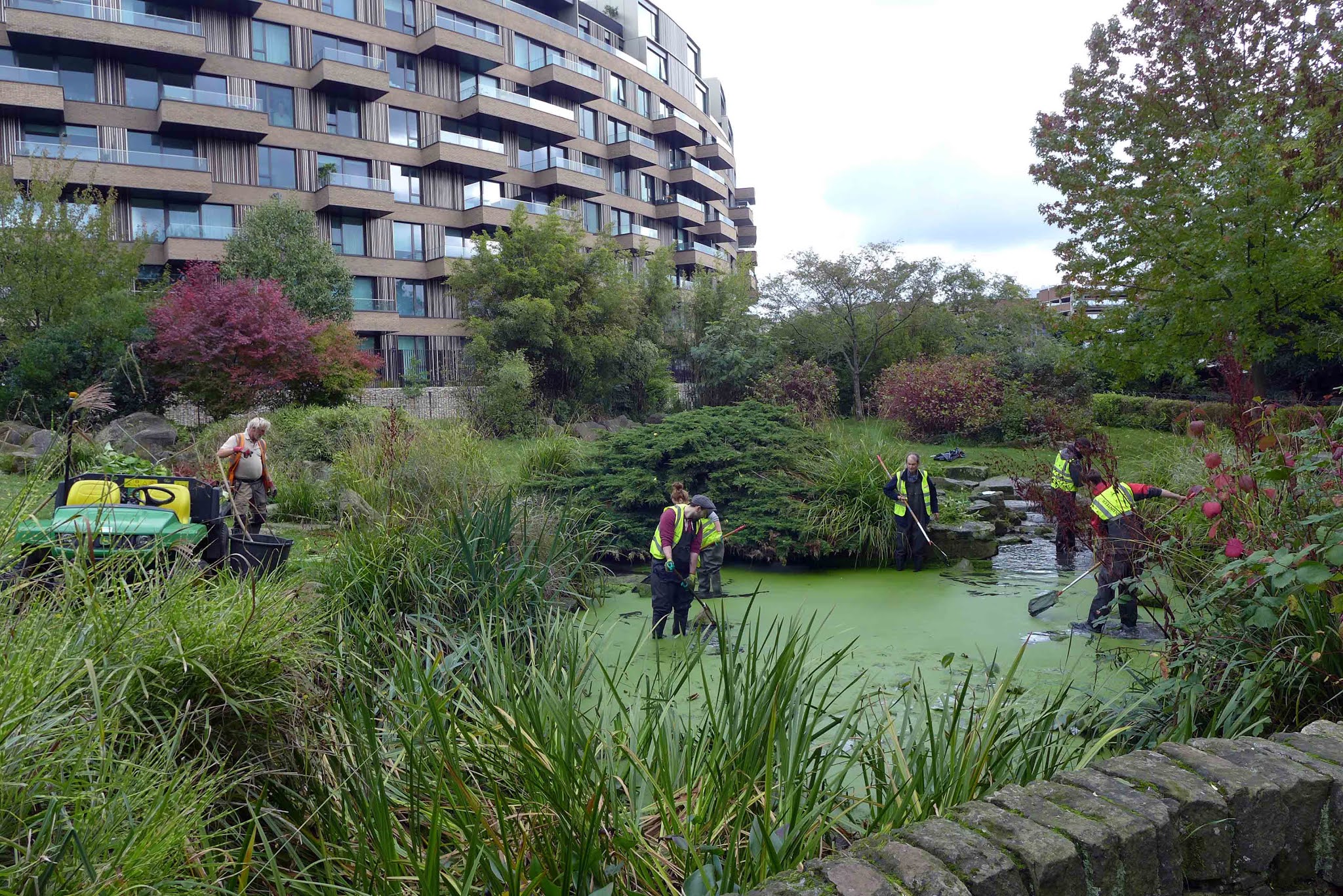 Shepherd's Bush Blog Japanese Garden Cleanup in Hammersmith Park