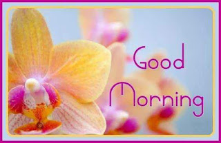 Good Morning Quote Message in English For Whatsapp Good Morning Quote Message in English