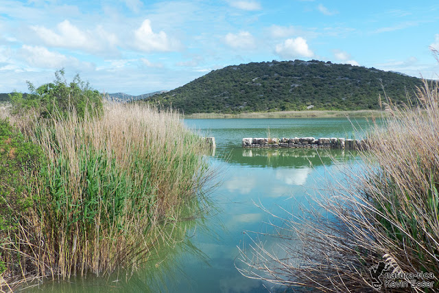 Habitat - Lake Vrana