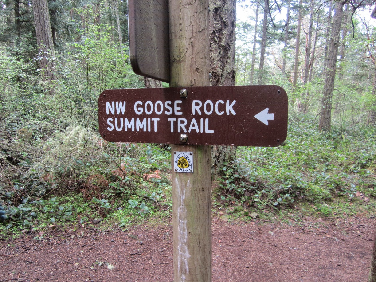 Beware of the Rug Return to Goose Rock