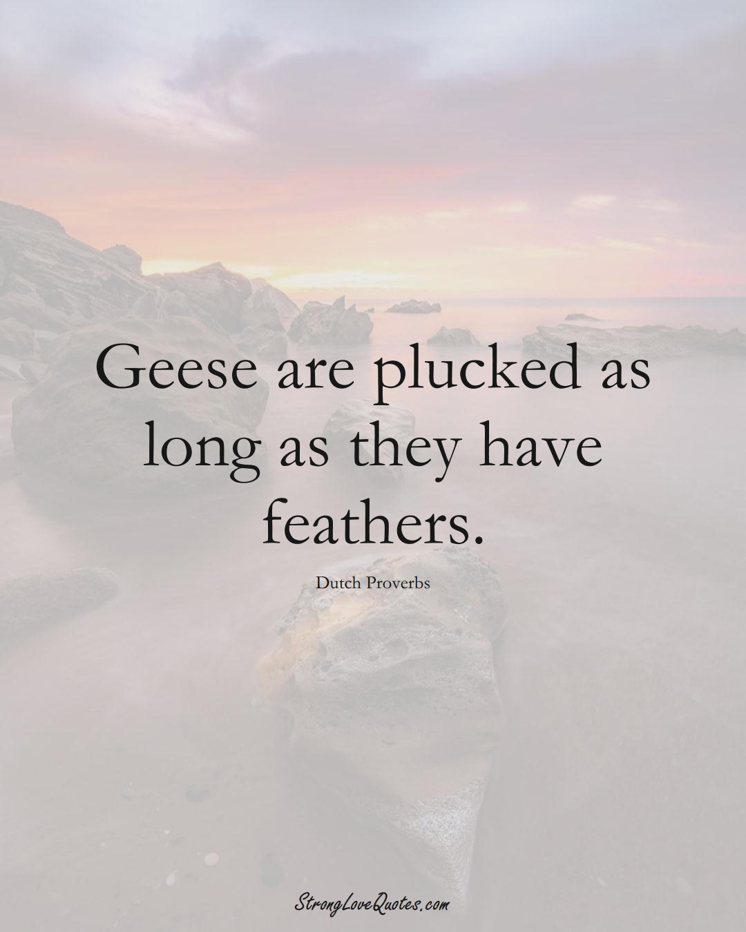 Geese are plucked as long as they have feathers. (Dutch Sayings);  #EuropeanSayings