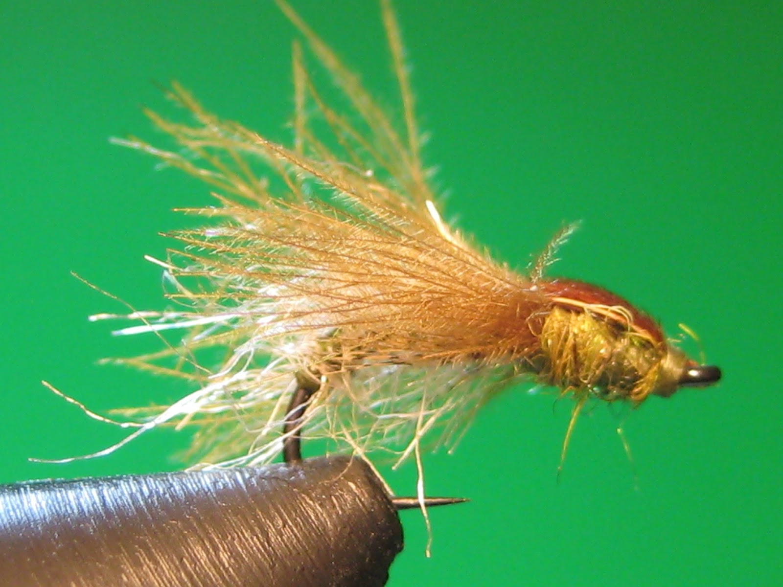 My Trout Fly: Caddis pupa emerger