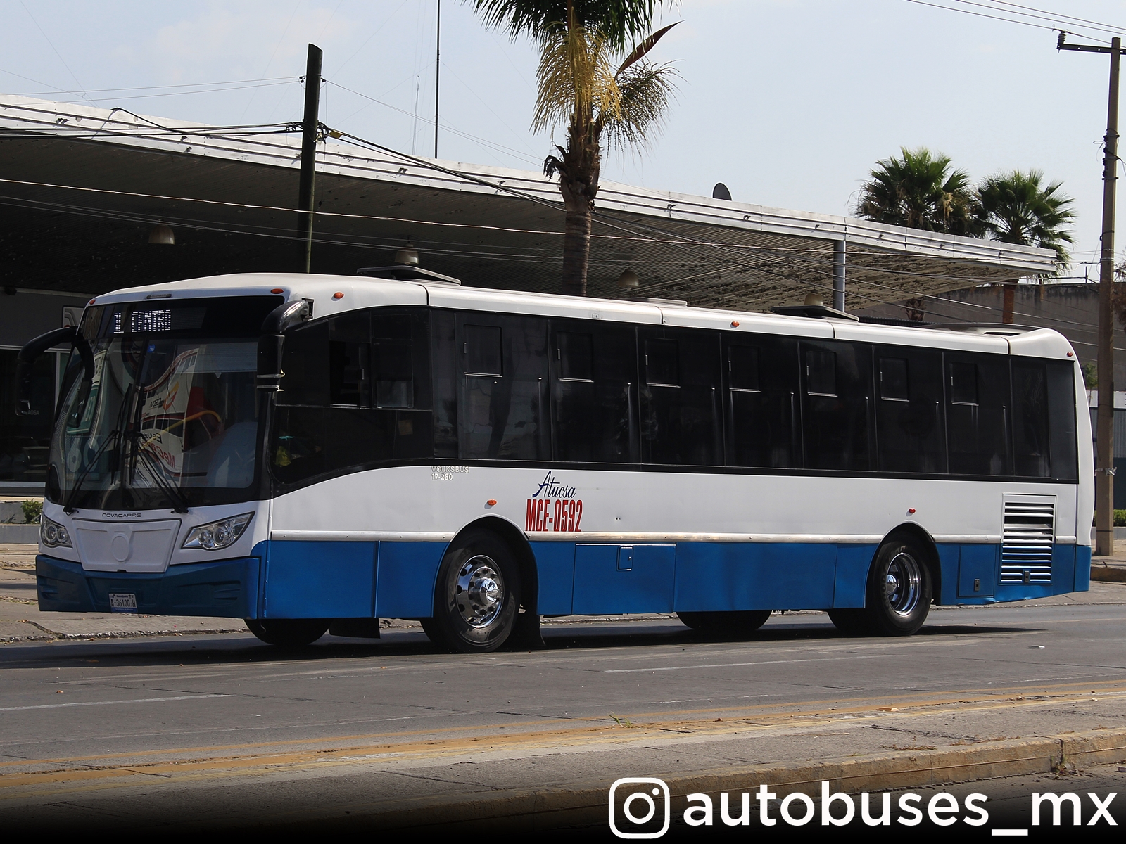 AYCAMX Autobuses y Camiones México Camiones Guanajuato 12