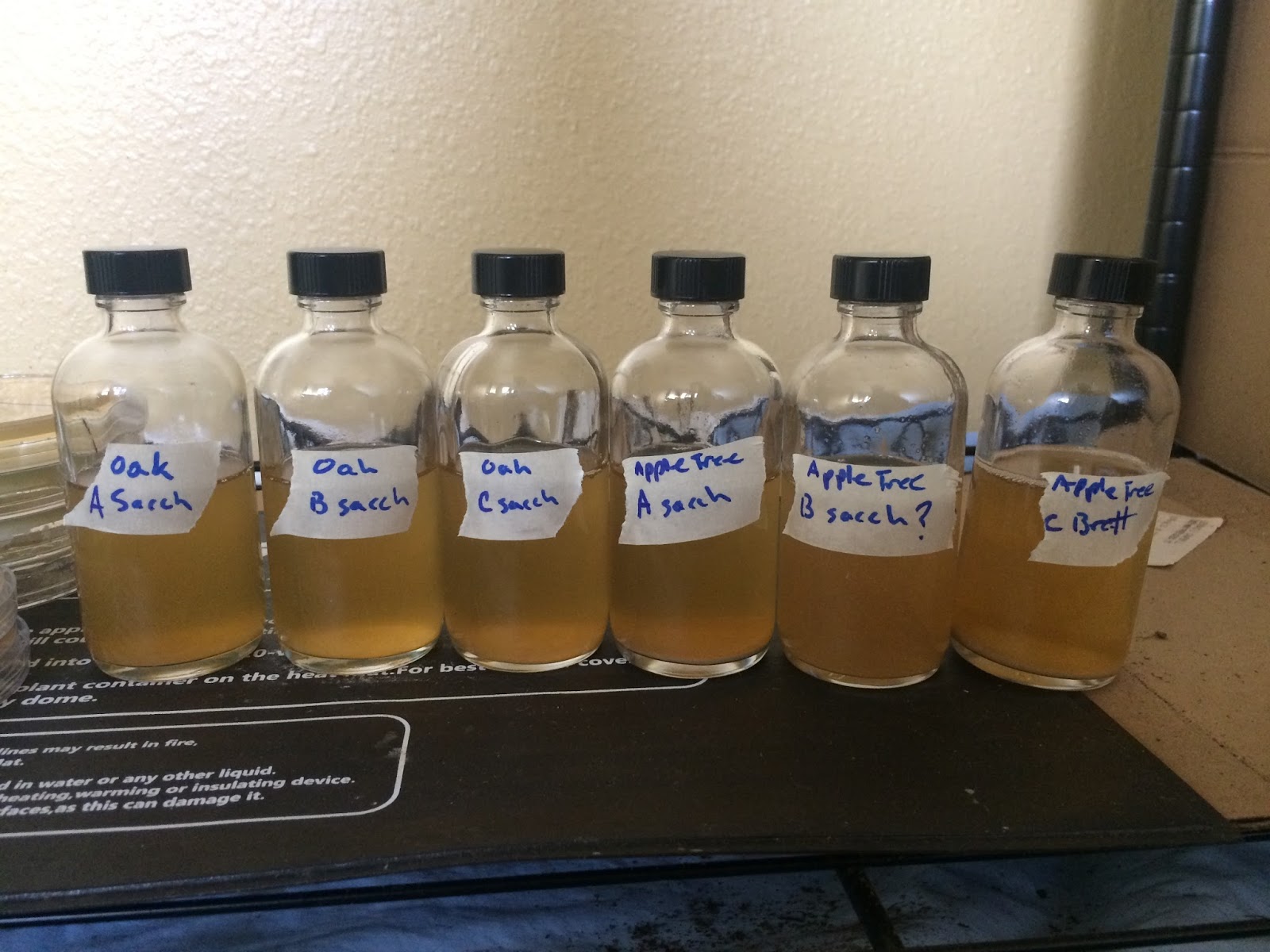 Jon's Brewing Experiments Tree Bark Yeast, Part 3