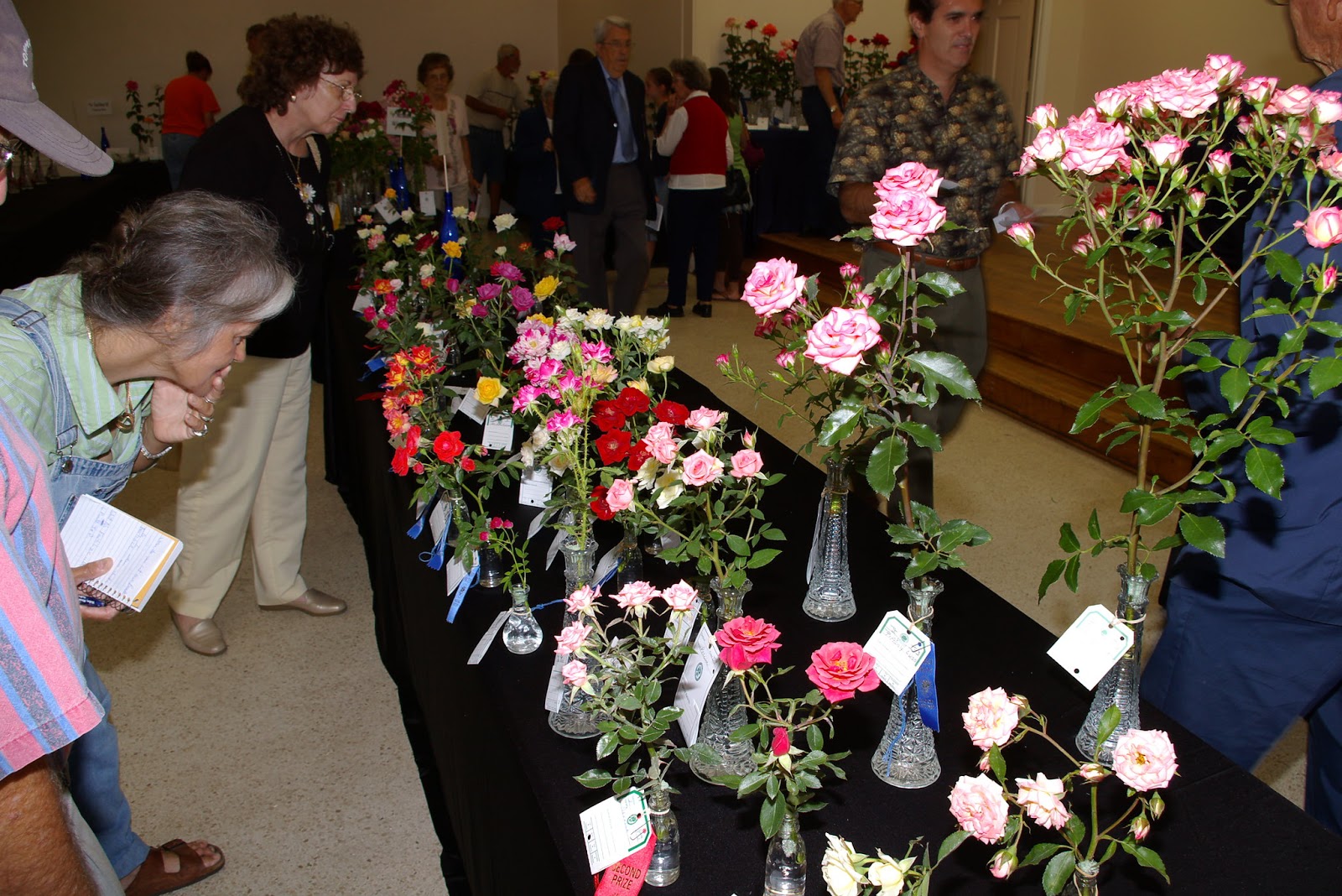 Pensacola Rose Society PRS Rose Show