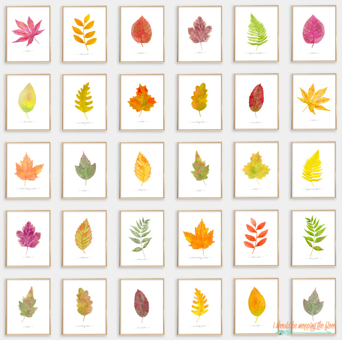 95 Fall Printables | i should be mopping the floor