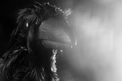 puppets nazi pt bird