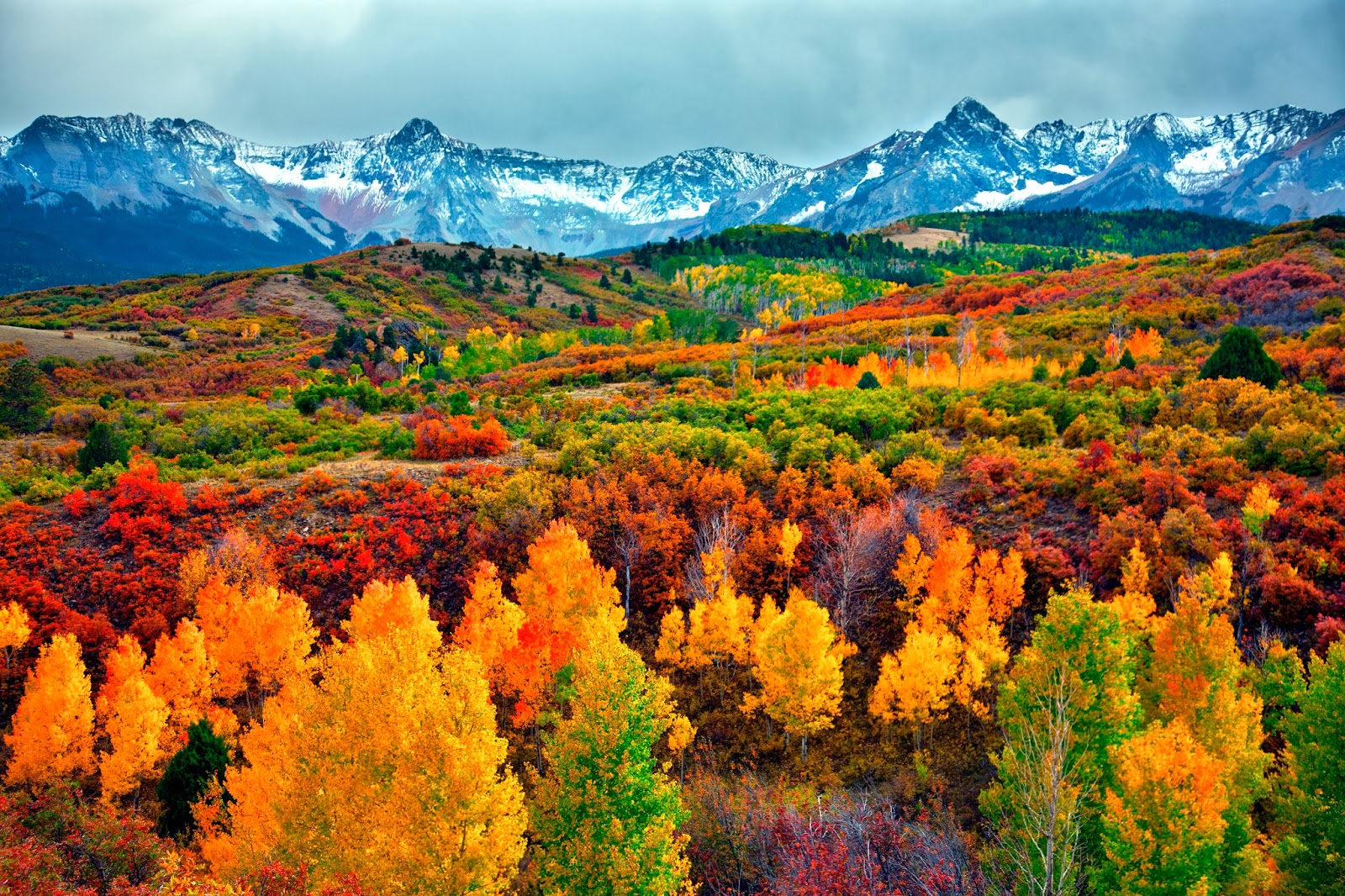 Critter Sitter's Blog: Fall Foliage Photos From National Parks