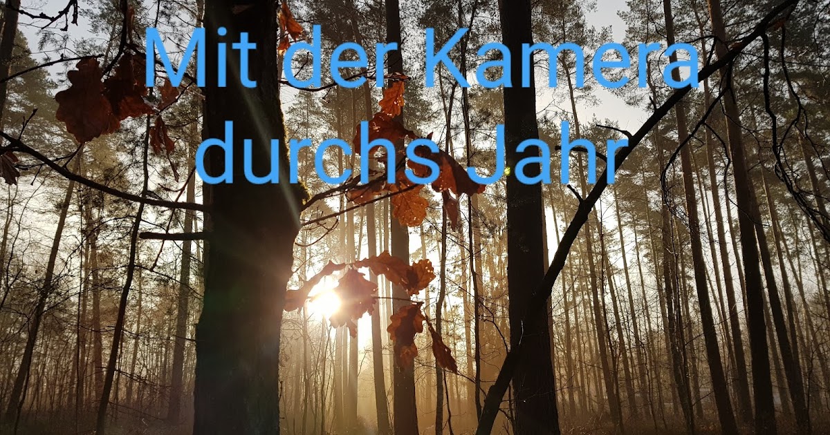 Hessischer Bildungsserver