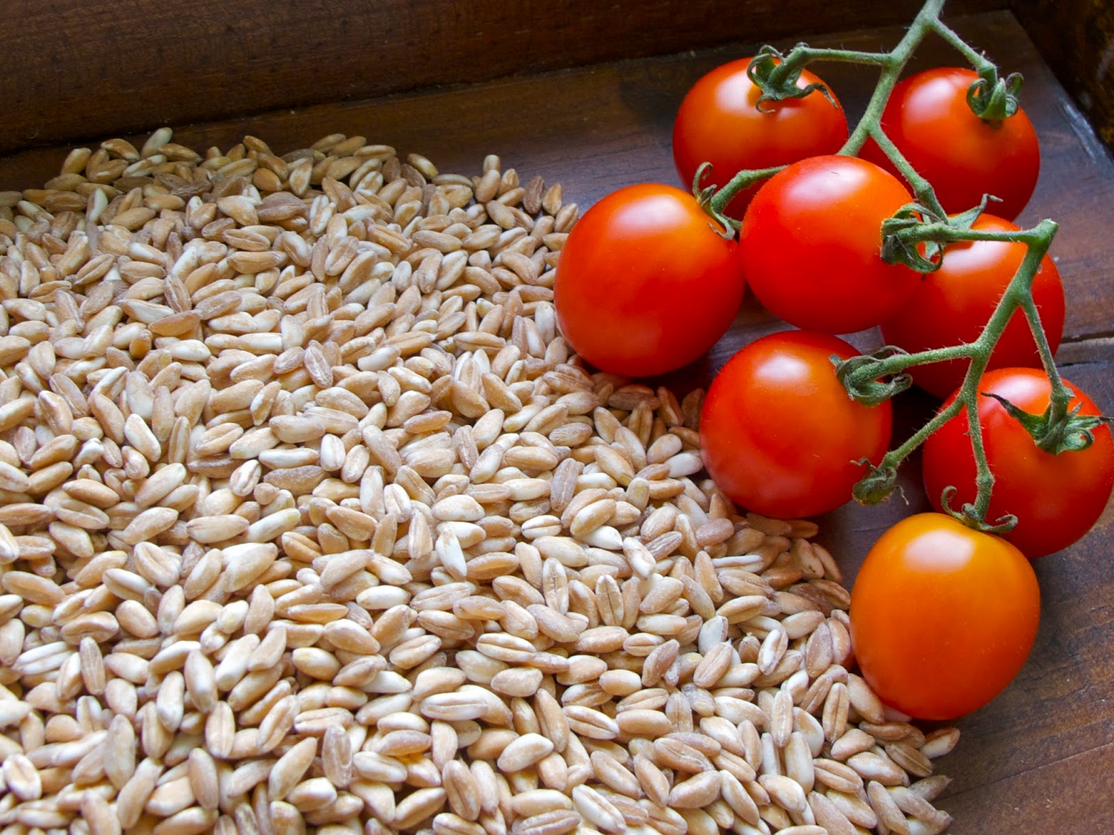 mani in pasta Minestra Farro e Ceci Farro and Chickpea Soup