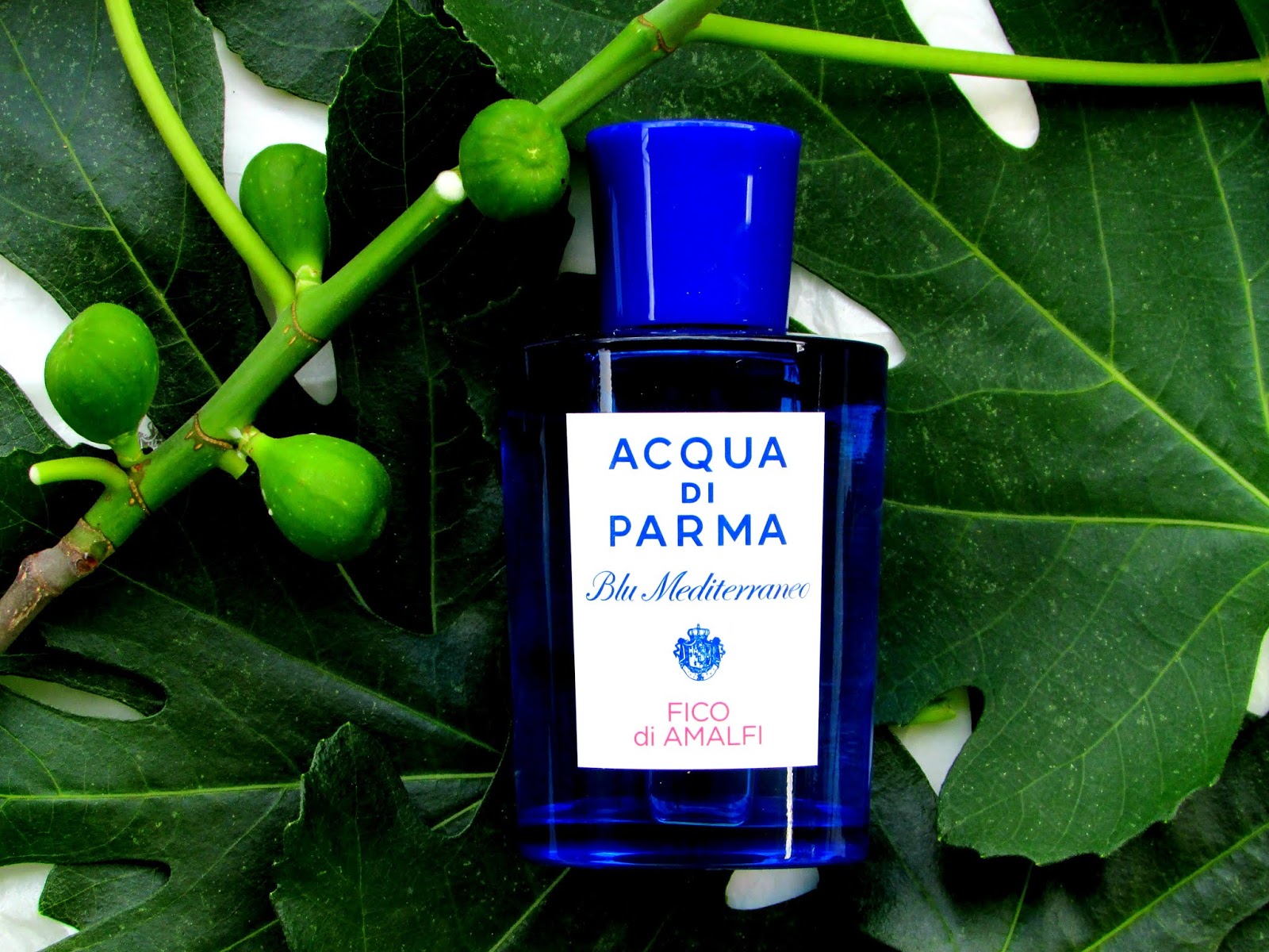 Jays Deen Beauty And Lifestyle Blog Acqua Di Parma Blu Mediterraneo Fico Di Amalfi