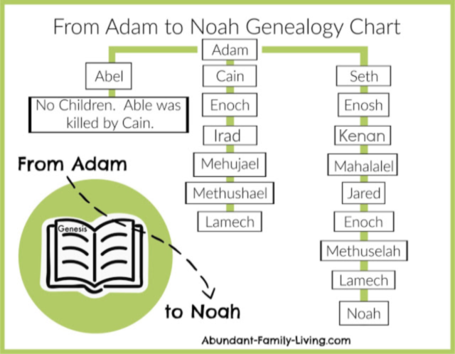 From Adam to Noah Genealogy
