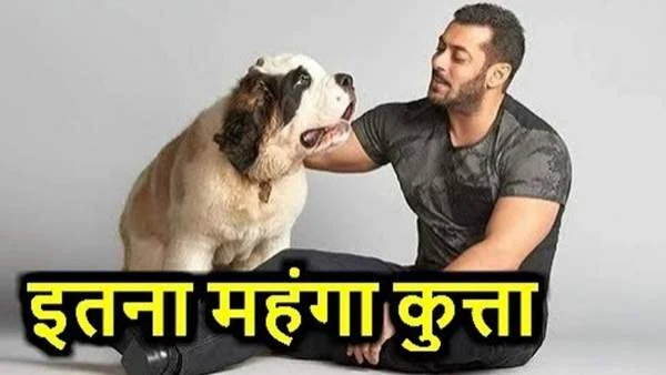 salman khan dog price