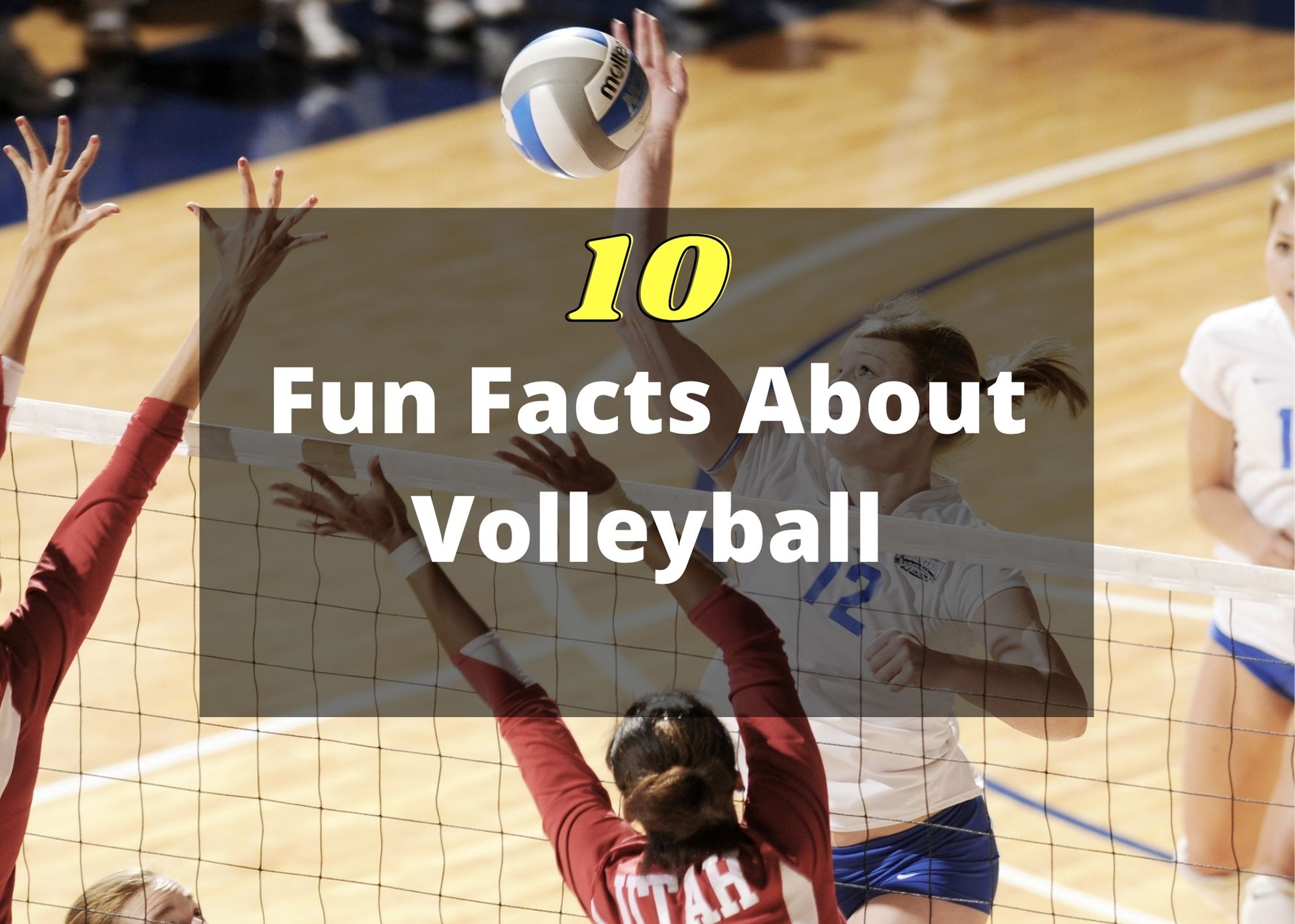 characteristics of the volleyball