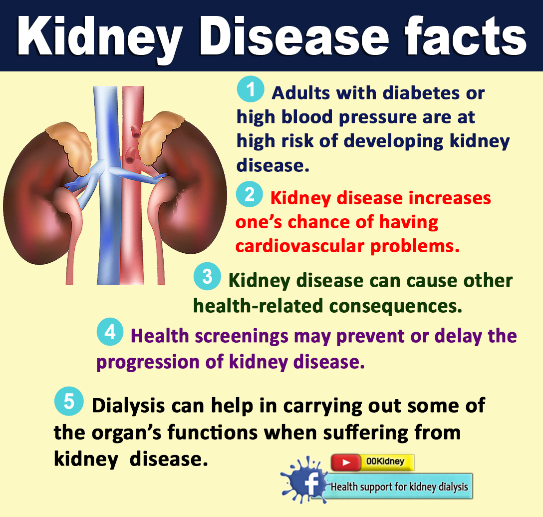 is-it-really-possible-to-get-off-kidney-dialysis-kidney-disease-facts