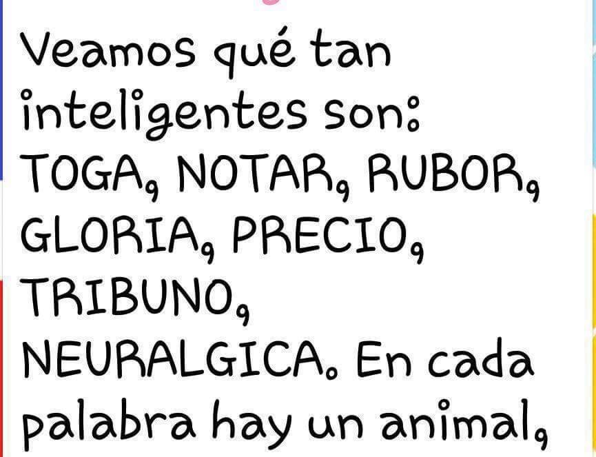Que Animal Se Forma Con La Palabra Neuralgica pelevc.blogspot.com