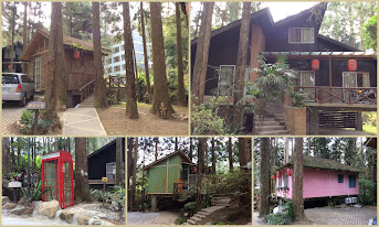 妖怪村-溪頭森林遊樂區景點˙好逛、好拍、好熱鬧