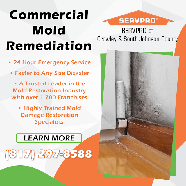 commercial mold remediation