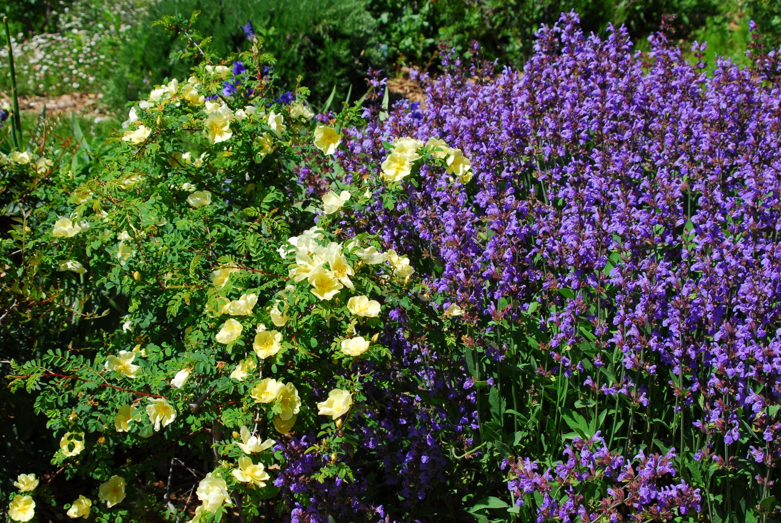 Jardines en paisajes