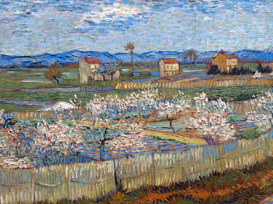 La cueva del coco Vincent van