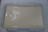 豆乳、サイリウム、ラカンカットで作る低糖質ブラマンジェ