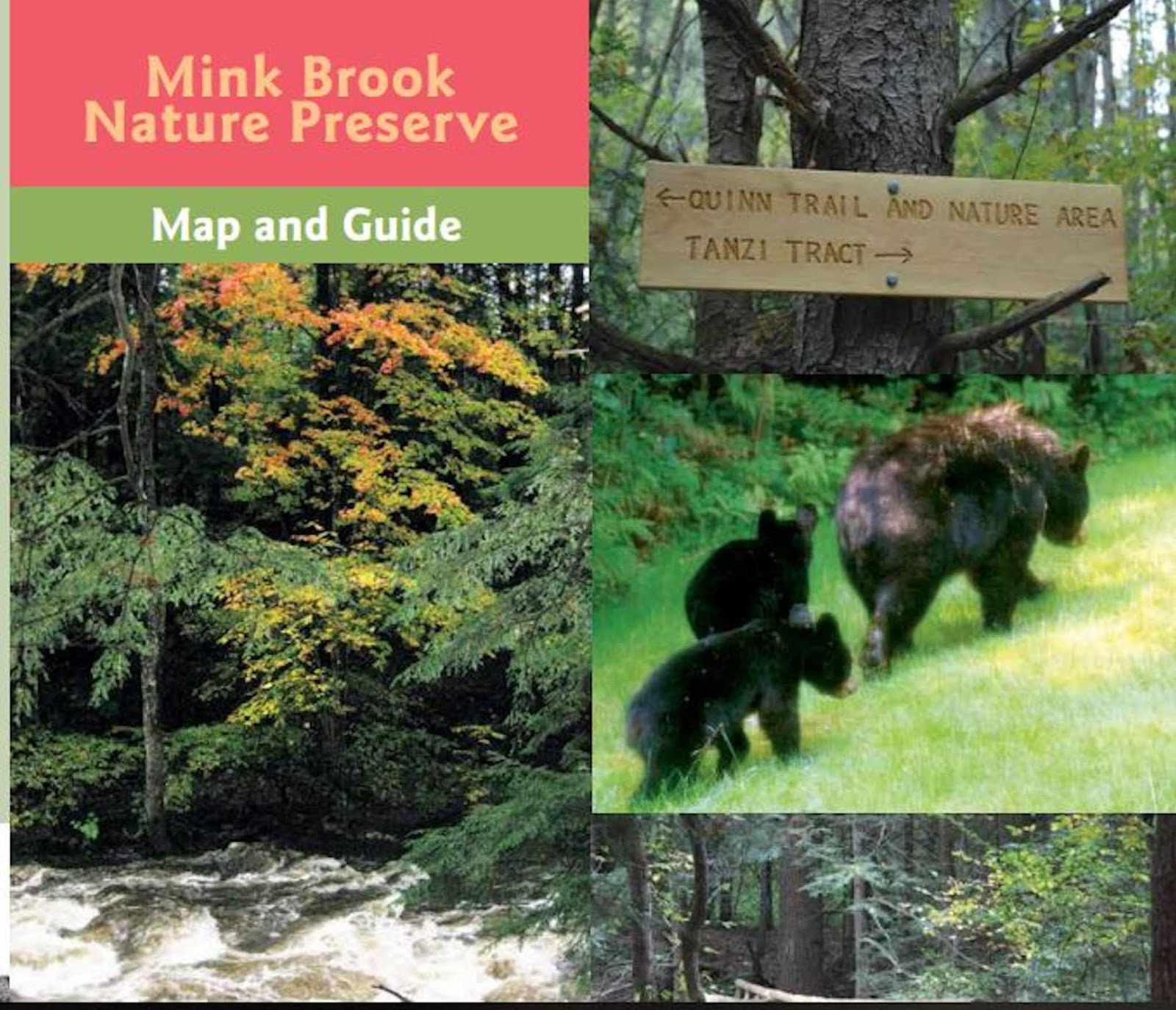 Outdoor Enthusiast Outdoor Recreation for Seniors (ORFS) Hike at Mink Brook Nature Preserve