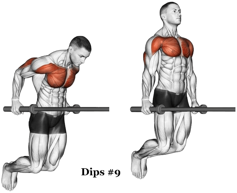 Arnold Schwarzenegger would be proud of you if you did these 11