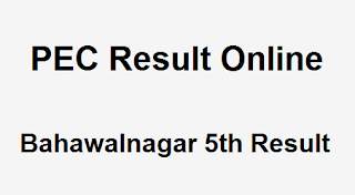 Bahawalnagar 5th Class Result 2019 PEC - BISE Bahawalnagar Board