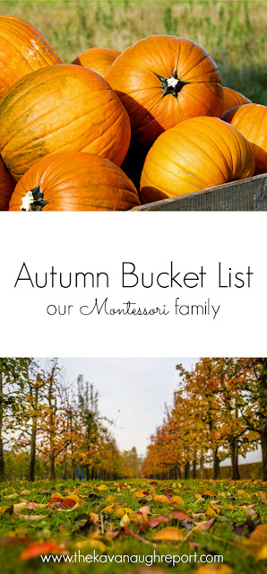 Montessori friendly bucket list for autumn