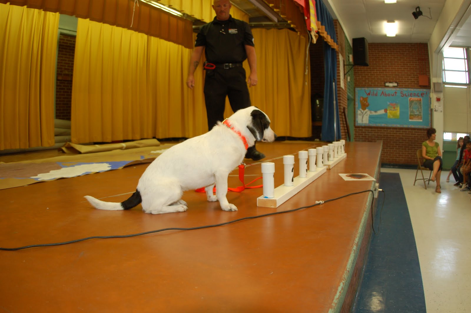 to Room 5! Oreo...The Amazing Bed Bug Sniffing Dog!!