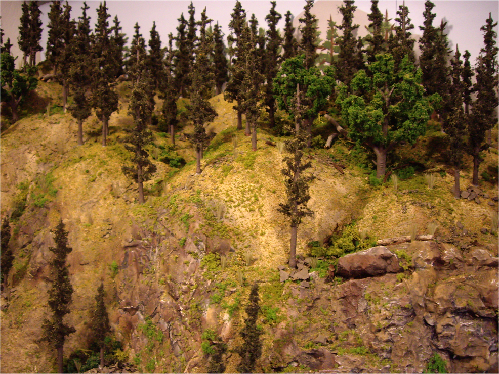 Plaster rock outcroppings and plaster terrain with various ground foam, trees, and talus to create a forest scene