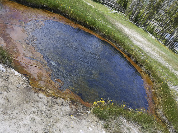 Let S Go To Yellowstone National Park And Rushmore