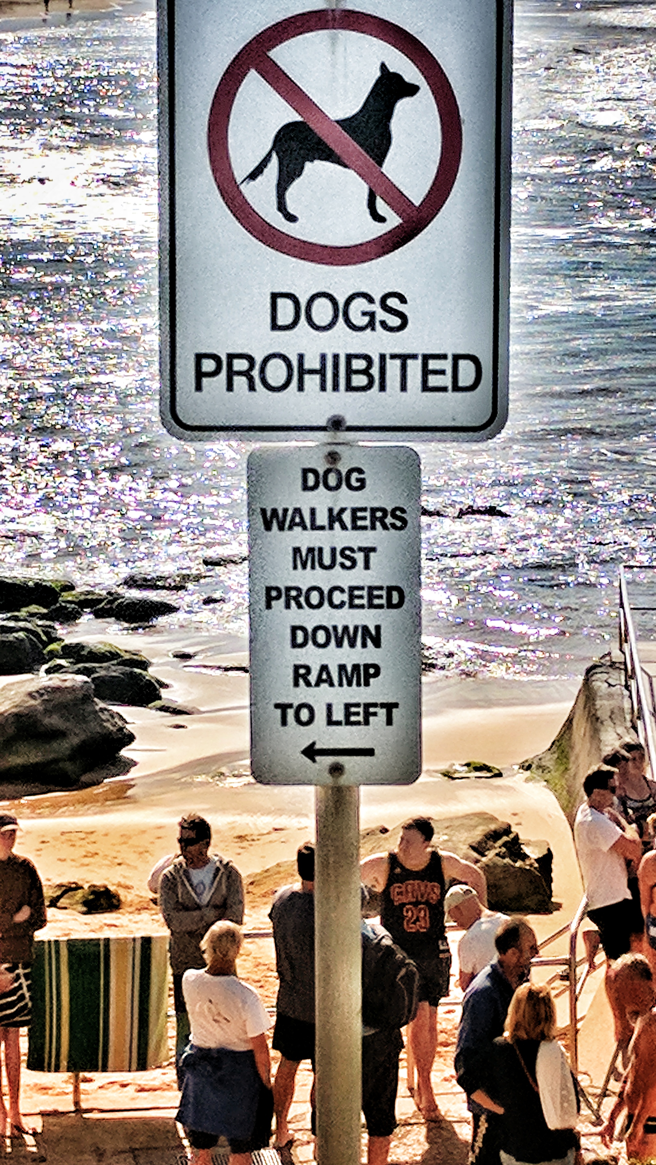 2 beach signs, "Dogs Prohibited" and, "Dog walkers must proceed down ramp to the left"