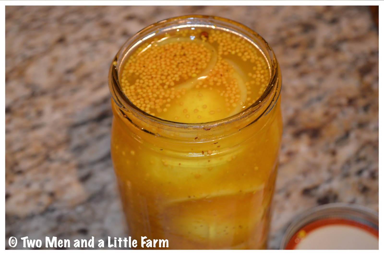 Two Men and a Little Farm AMISH MUSTARD EGGS RECIPE