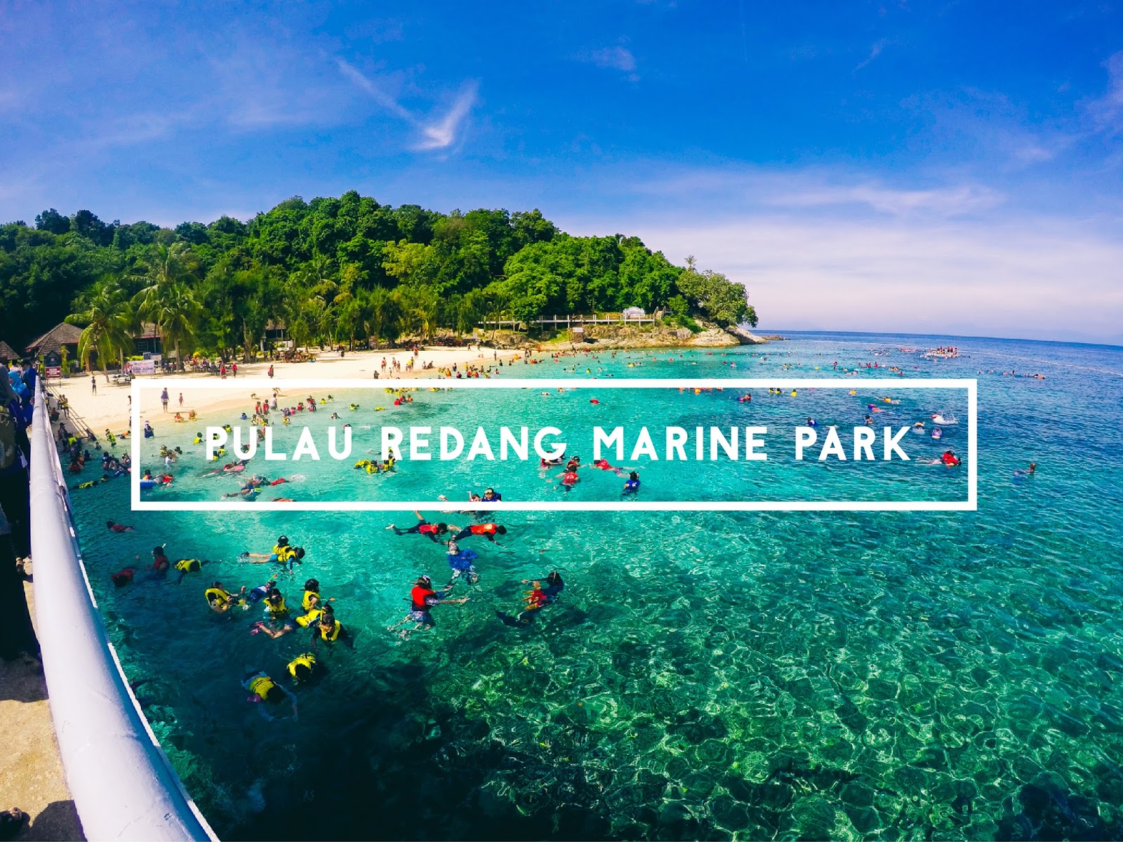 Pengalaman & Tips Snorkeling Di Pulau Redang Marine Park