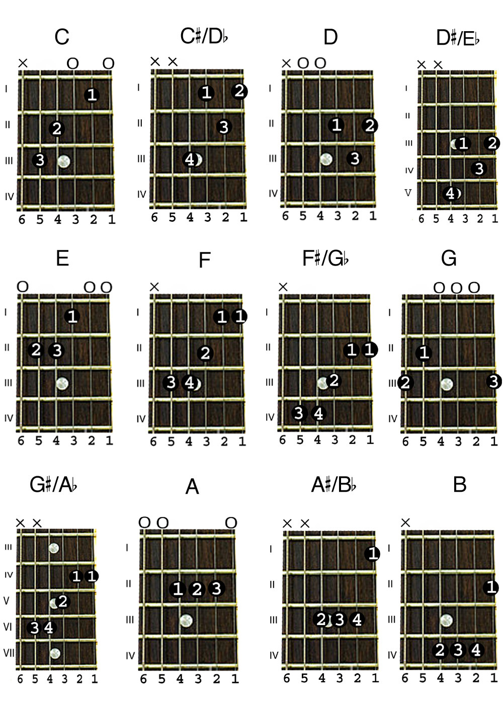Major Chords Guitar Chart