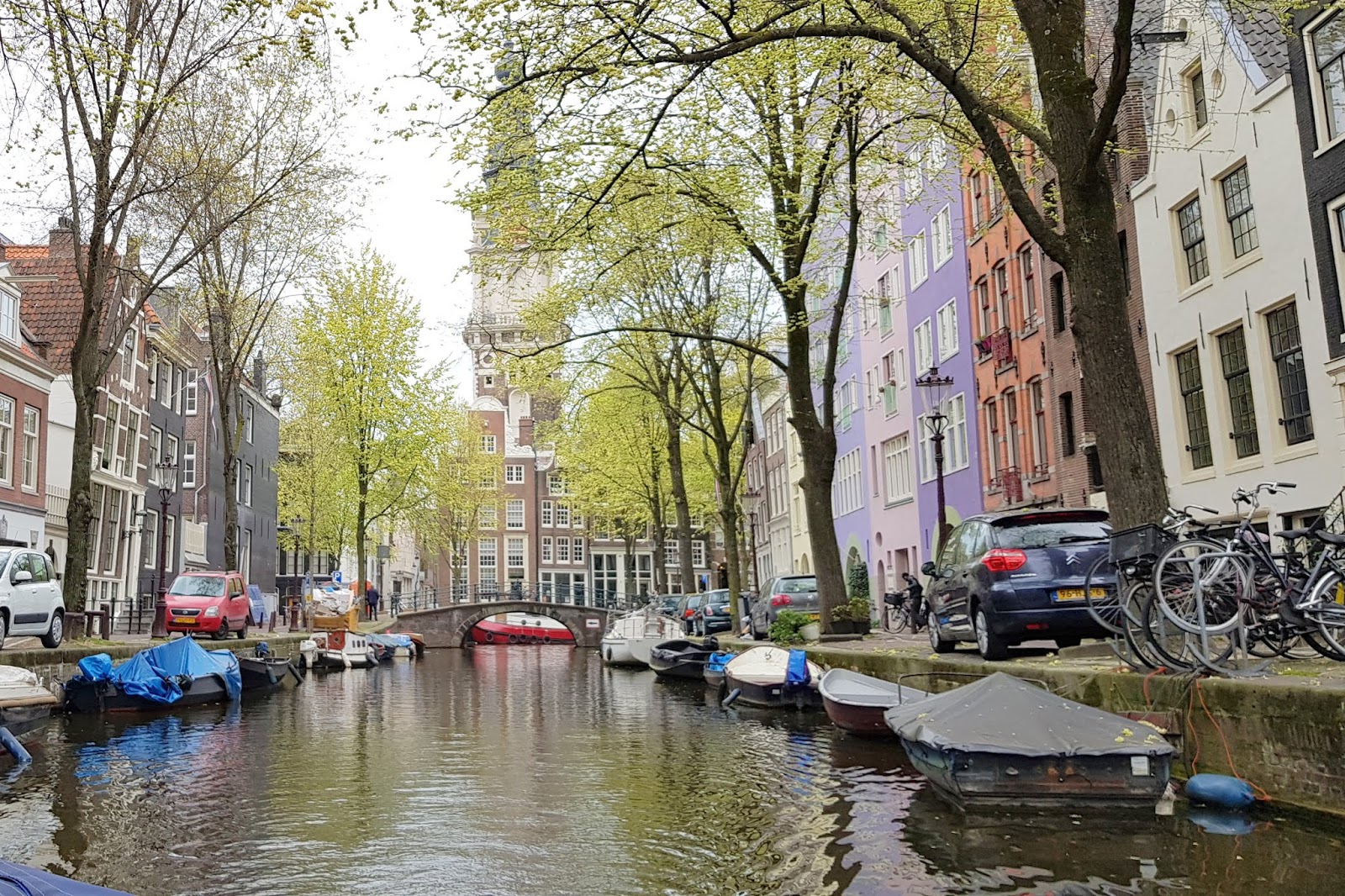 JollyDays Supported Holidays Dutch Bulb Fields & Amsterdam with Midi