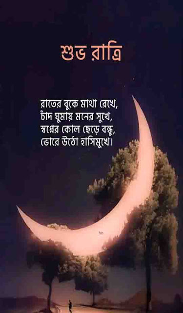 Good night in Bangla