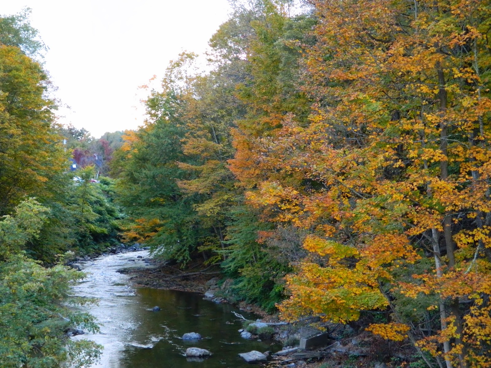 Walking The Dog Vermont The Green Mountain State