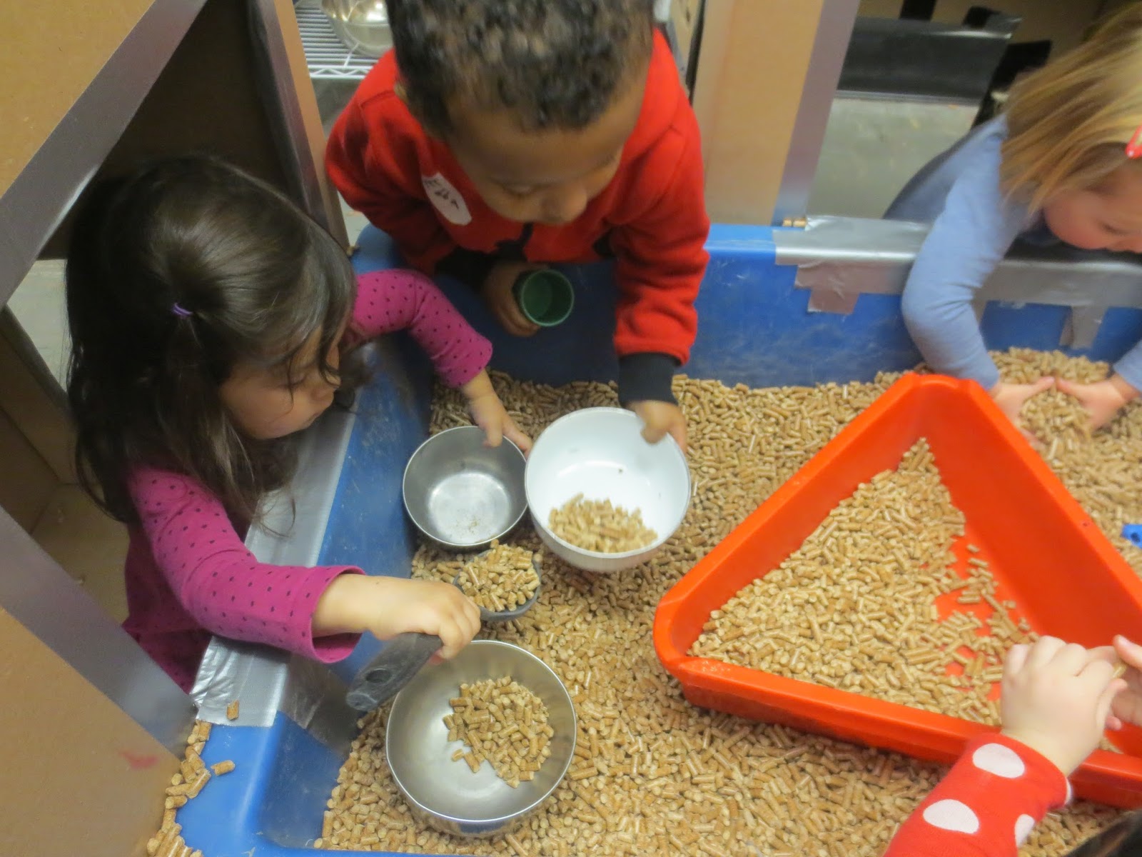 SAND AND WATER TABLES The life of a big box in the classroom